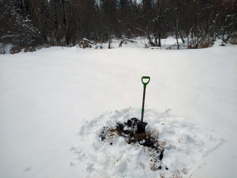 Wetland work in the snow…..