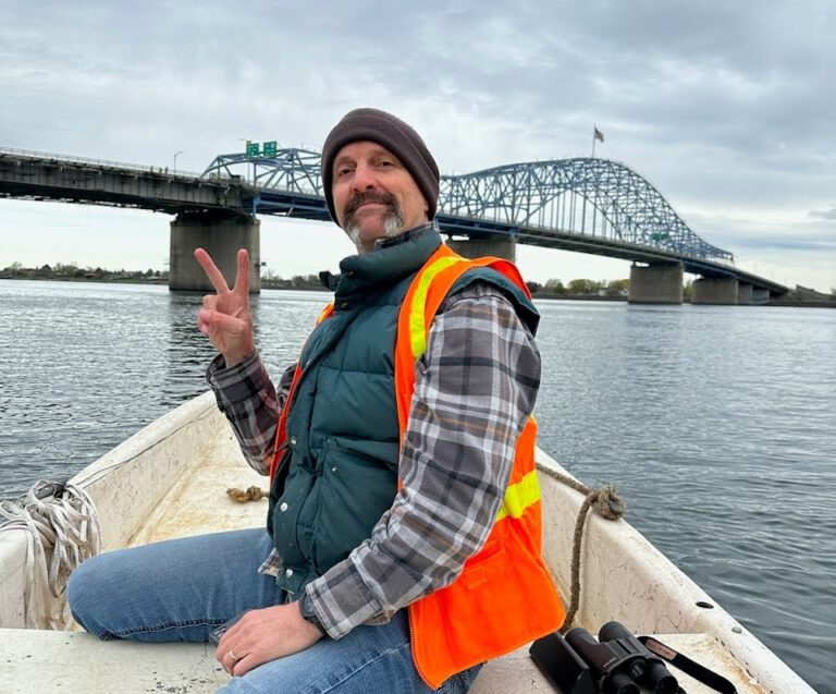 Monitoring birds from a boat!